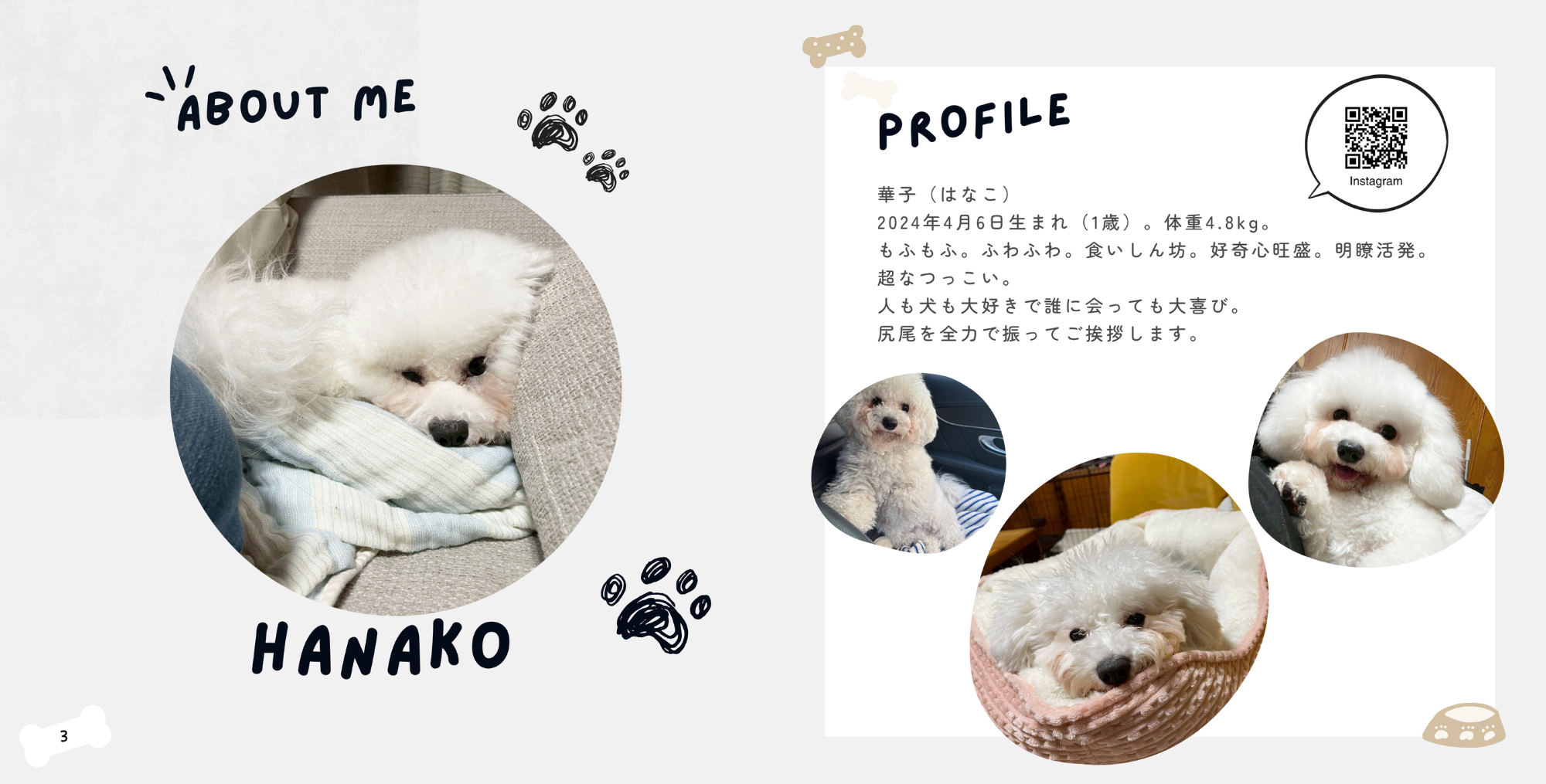 犬種別写真集　無料で掲載