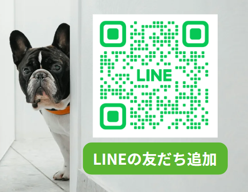 最新の申し込み状況やプロジェクトの進捗情報をお届けするため、令和出版のLINE公式アカウントを開設しました。