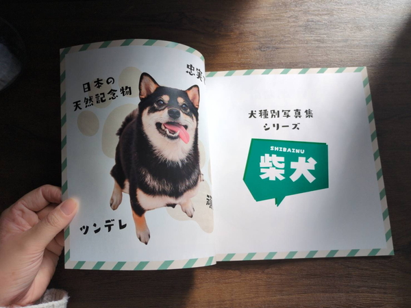 柴犬写真集