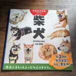 柴犬写真集