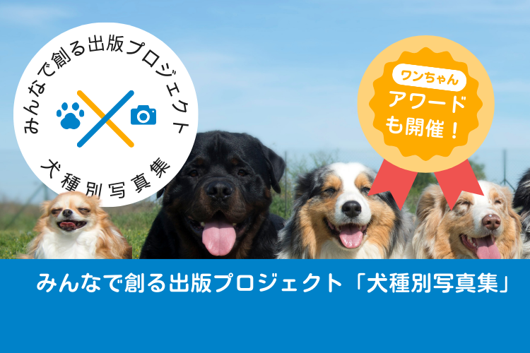 犬種別の写真集出版プロジェクト|みんなで創る出版プロジェクト 犬種別の写真集出版プロジェクト|みんなで創る出版プロジェクト