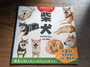 柴犬！ A little angry] Brushing the teeth of a freedom-loving Shiba Inu