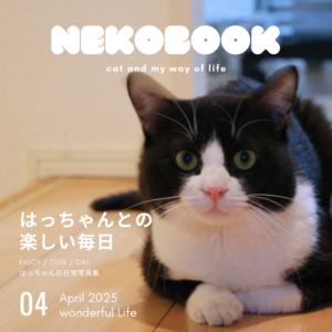 ハチワレ猫はっちゃん写真集