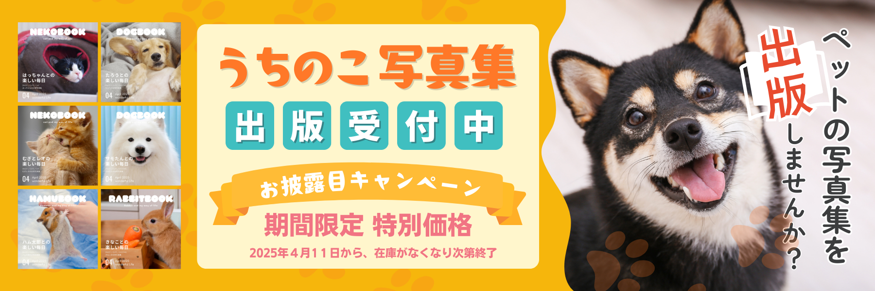 【令和出版】LPスライダーPC (4)