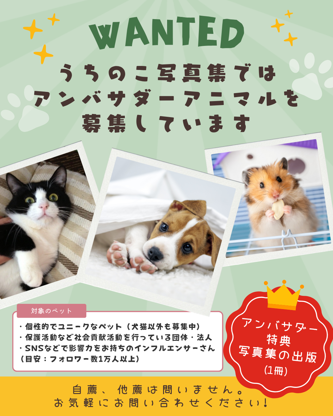 うちのこ写真集アンバサダー募集