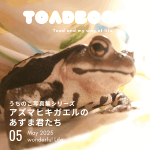 伊藤みゆき著：うちのこ写真集 アズマヒキガエルのあずま君たち: うちのこ写真集シリーズ