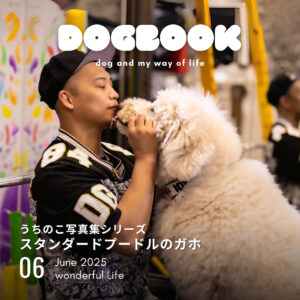 スタンダードプードルのガホ: うちのこ写真集シリーズ