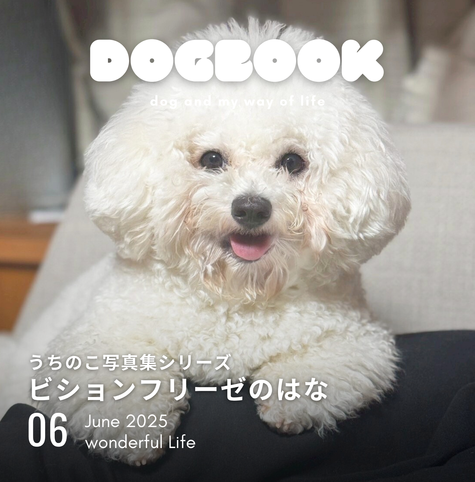 : うちのこ写真集シリーズ