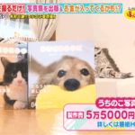 うちのこ写真集　大阪ほんわかテレビ