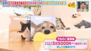 うちのこ写真集　大阪ほんわかテレビ
