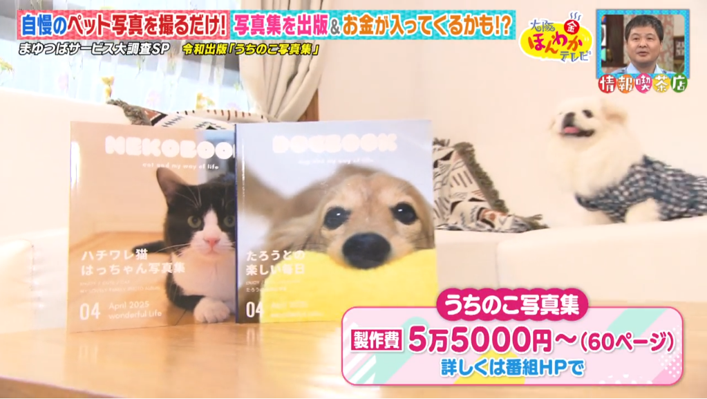 うちのこ写真集　大阪ほんわかテレビ