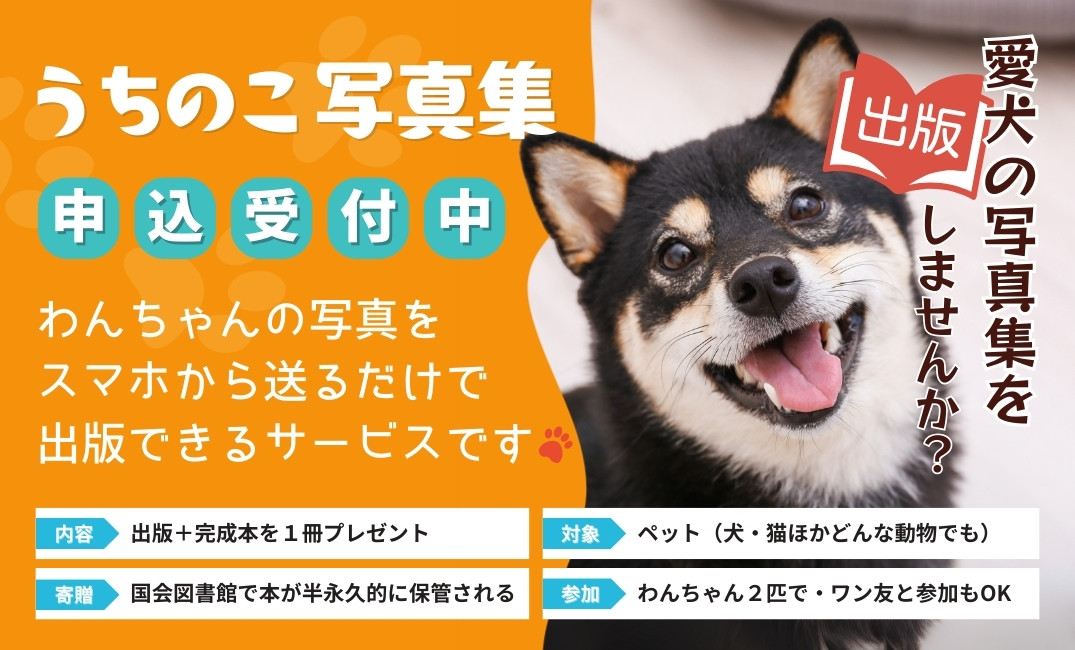 うちのこ写真集ショップカード (1)