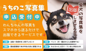 うちのこ写真集ショップカード (1)