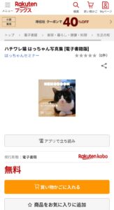 楽天KOBOライティングの出版方法