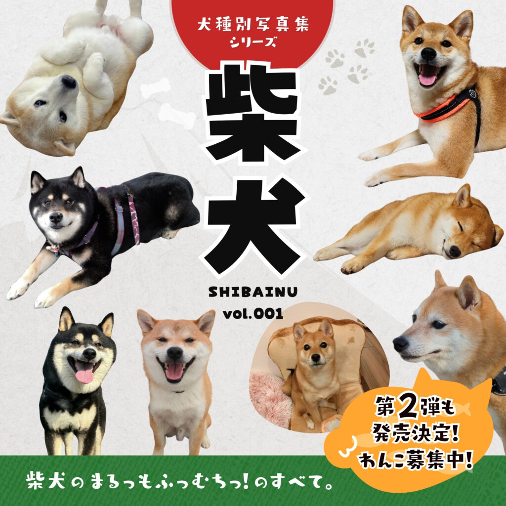 犬種別写真集 柴犬vol001