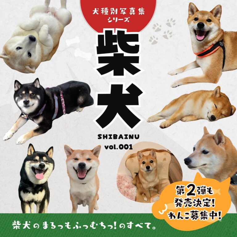 犬種別写真集 柴犬vol001