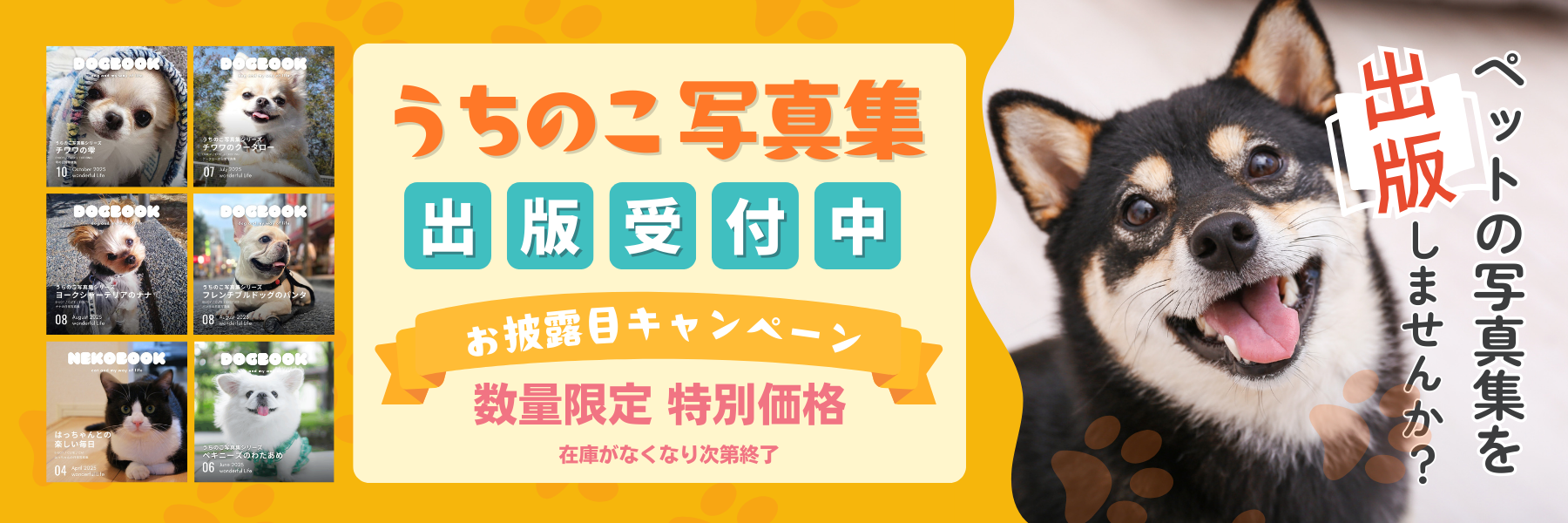 【令和出版】うちのこ写真集LPスライダー (2)