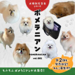 ポメラニアン（Pomeranian）vol.001 (犬種別写真集シリーズ)