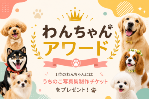 先着20匹】トイプードル専用写真集の掲載モデル大募集｜愛犬の姿を一生