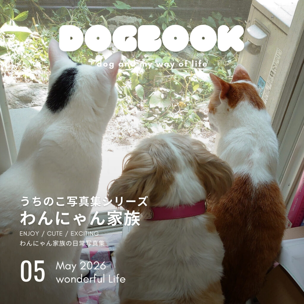 「わんにゃん家族（うちのこ写真集シリーズ）」