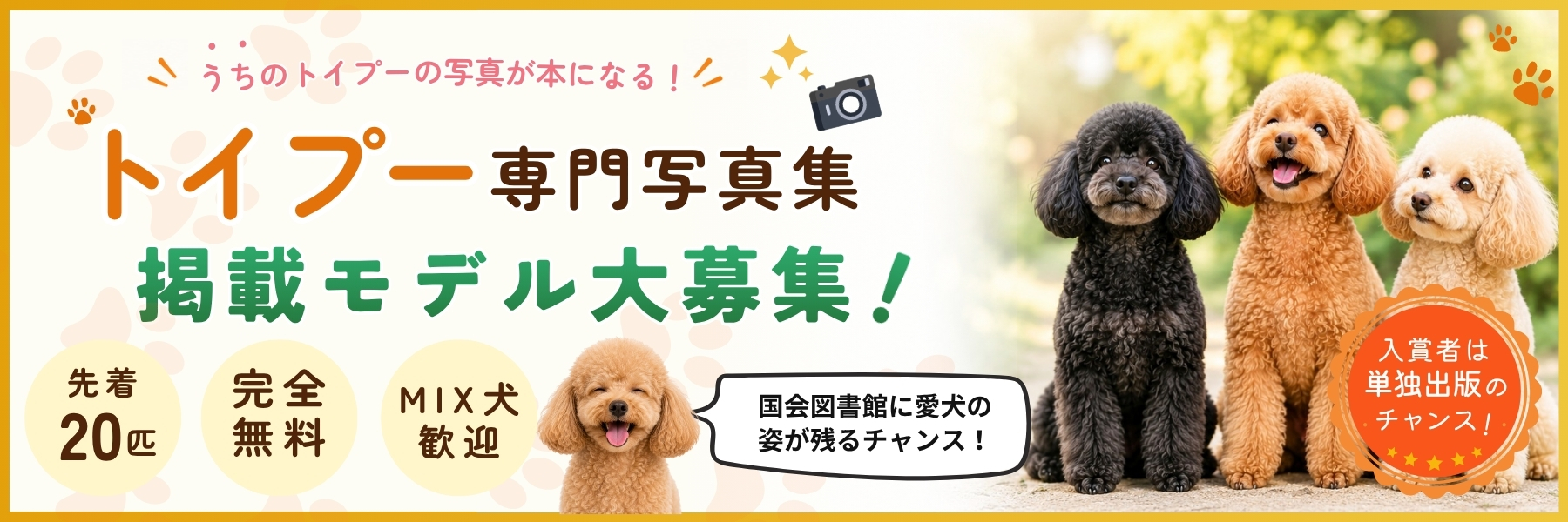 トイプードル写真集モデル募集
