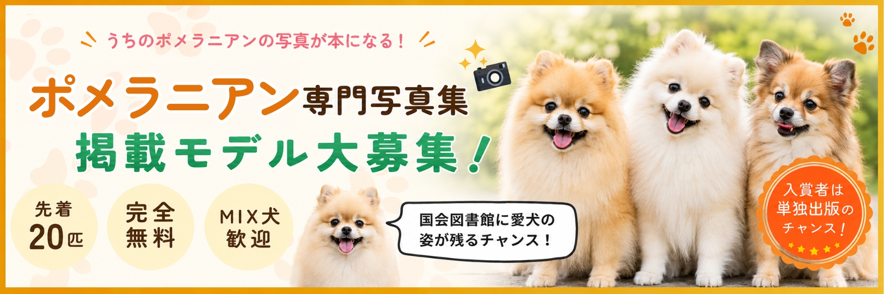 ポメラニアン写真集モデル募集
