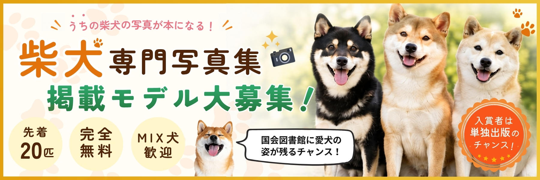 shiba