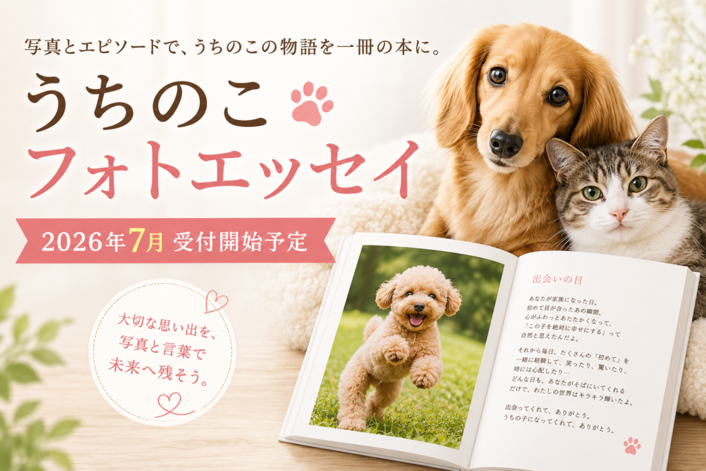 うちのこフォトエッセイ