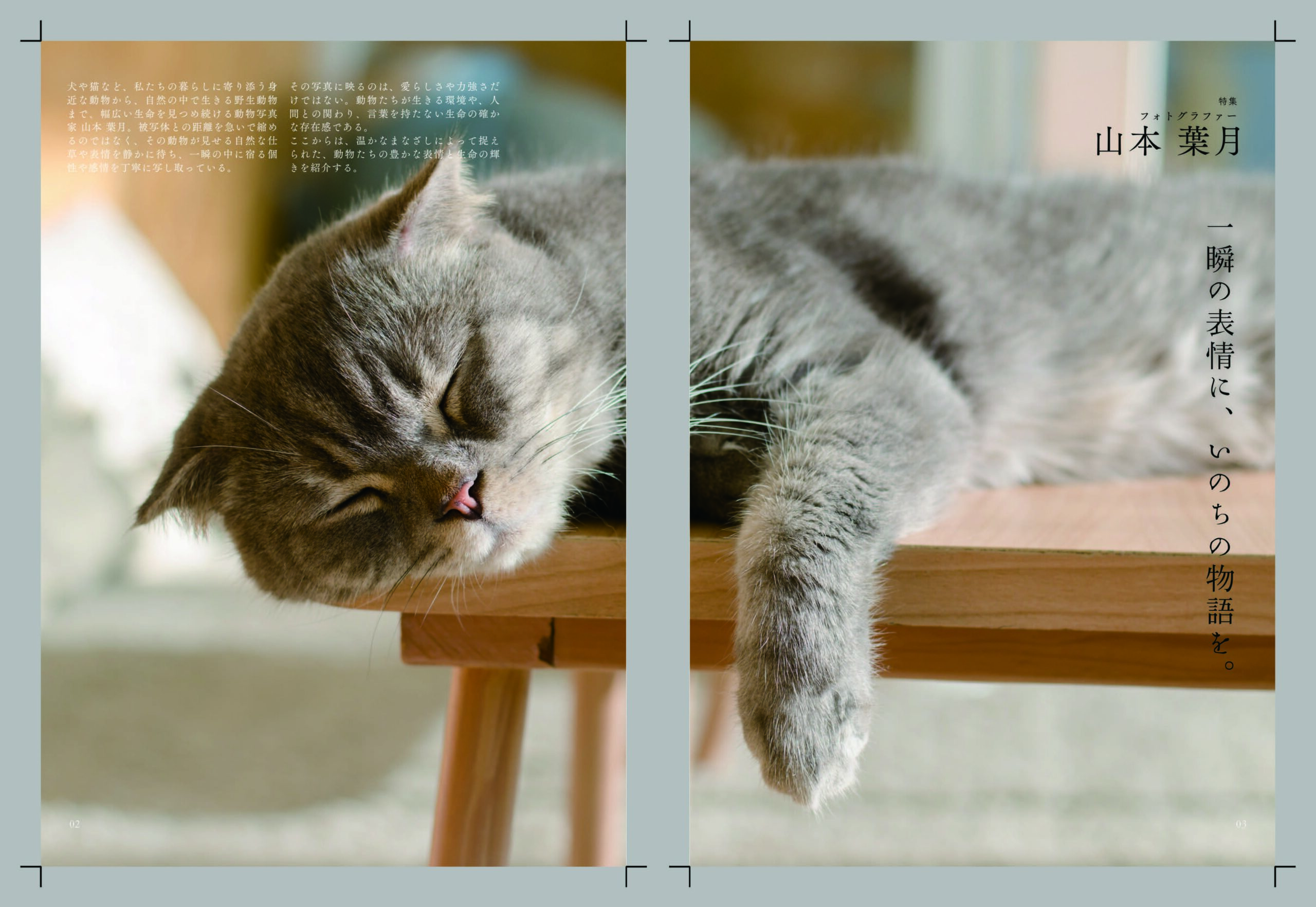 KDP_PRINT_INTERIOR_SPREAD (16)_ページ_02
