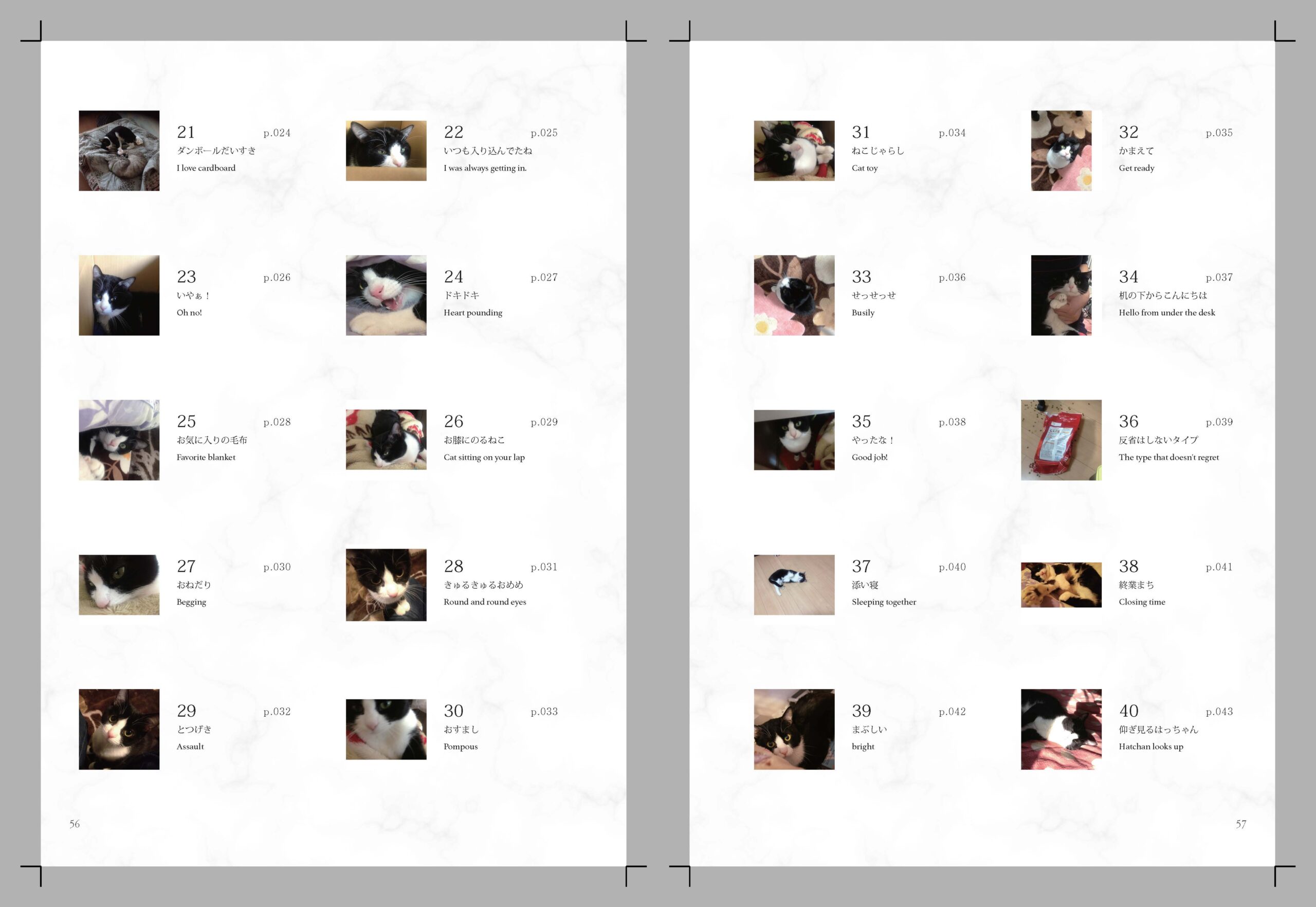 KDP_PRINT_INTERIOR_SPREAD (16)_ページ_29
