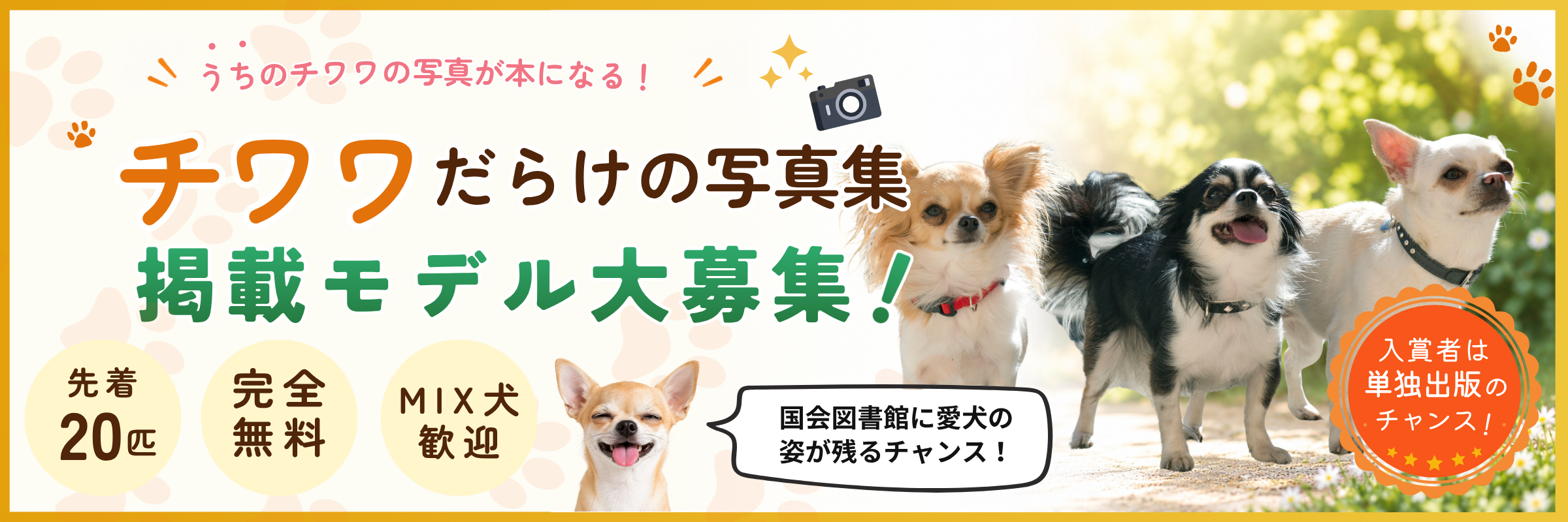 chihuahua_head