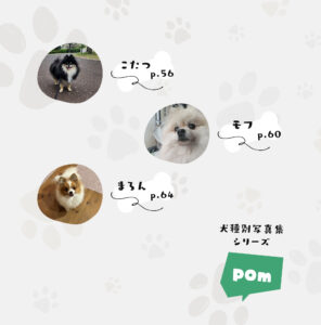 ポメラニアン写真集