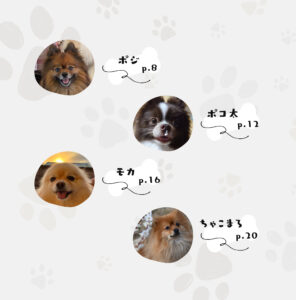 ポメラニアン写真集