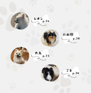 ポメラニアン写真集