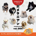 ポメラニアン写真集