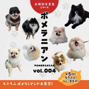 ポメラニアン写真集
