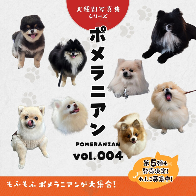 ポメラニアン写真集
