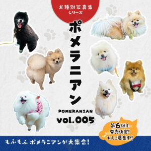 ポメラニアン（Pomeranian）vol.005 犬種別写真集シリーズ 表紙