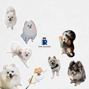 ポメラニアン（Pomeranian）vol.005 掲載ポメラニアンたち