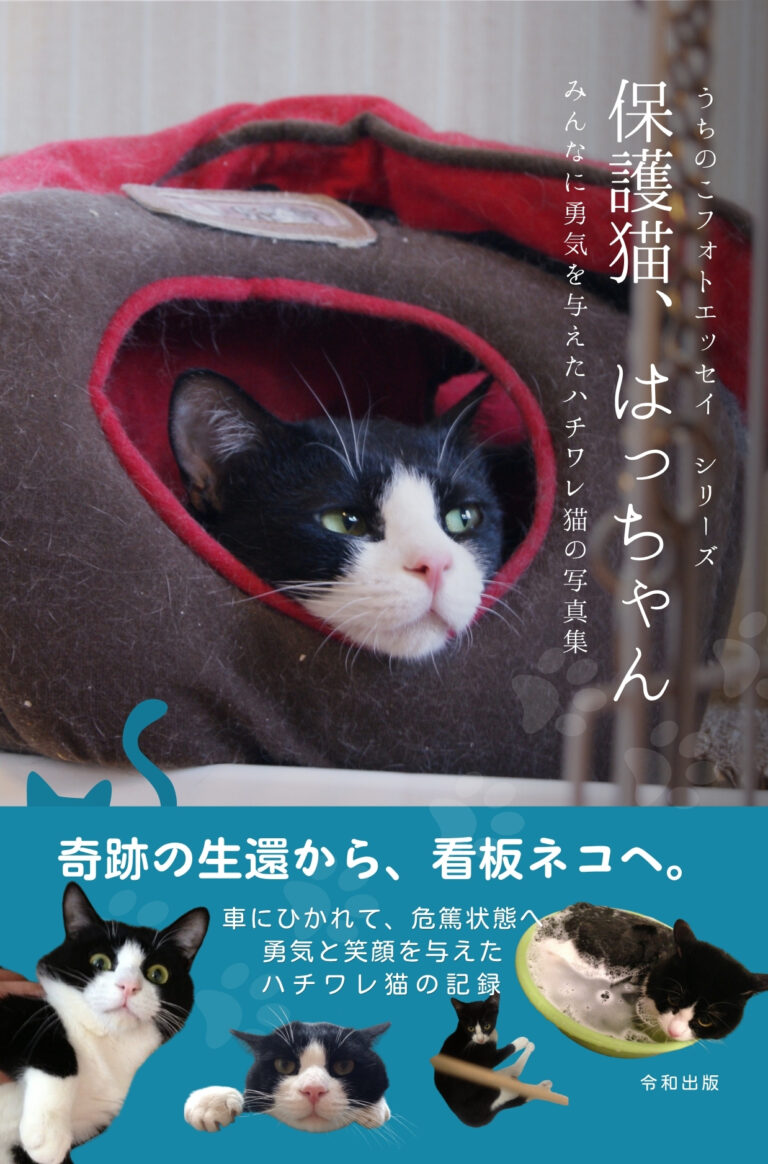 保護猫、はっちゃん　みんなに勇気を与えたハチワレ猫（うちのこフォトエッセイ）の表紙