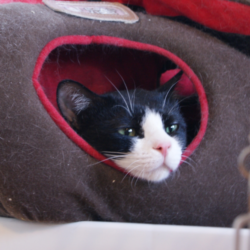 名称未設定のデザイン